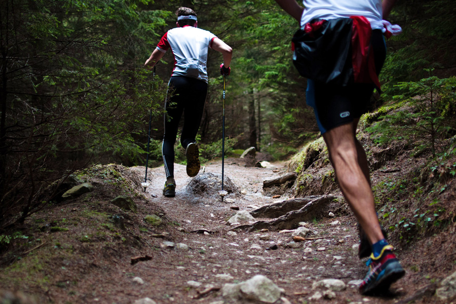 Wer hat das nachhaltigste Potenzial?