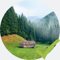 Ökologische Landwirtschaft