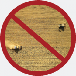 Intensive Landwirtschaft